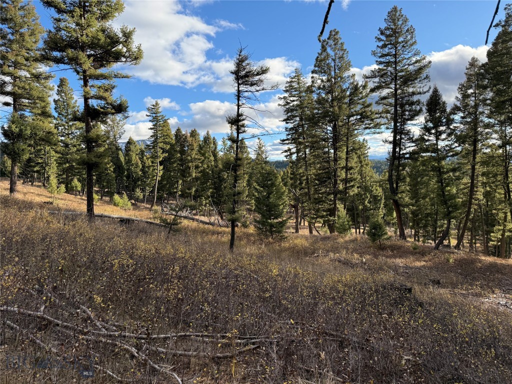 Lot 5 Scranton Lode Property Photo 17
