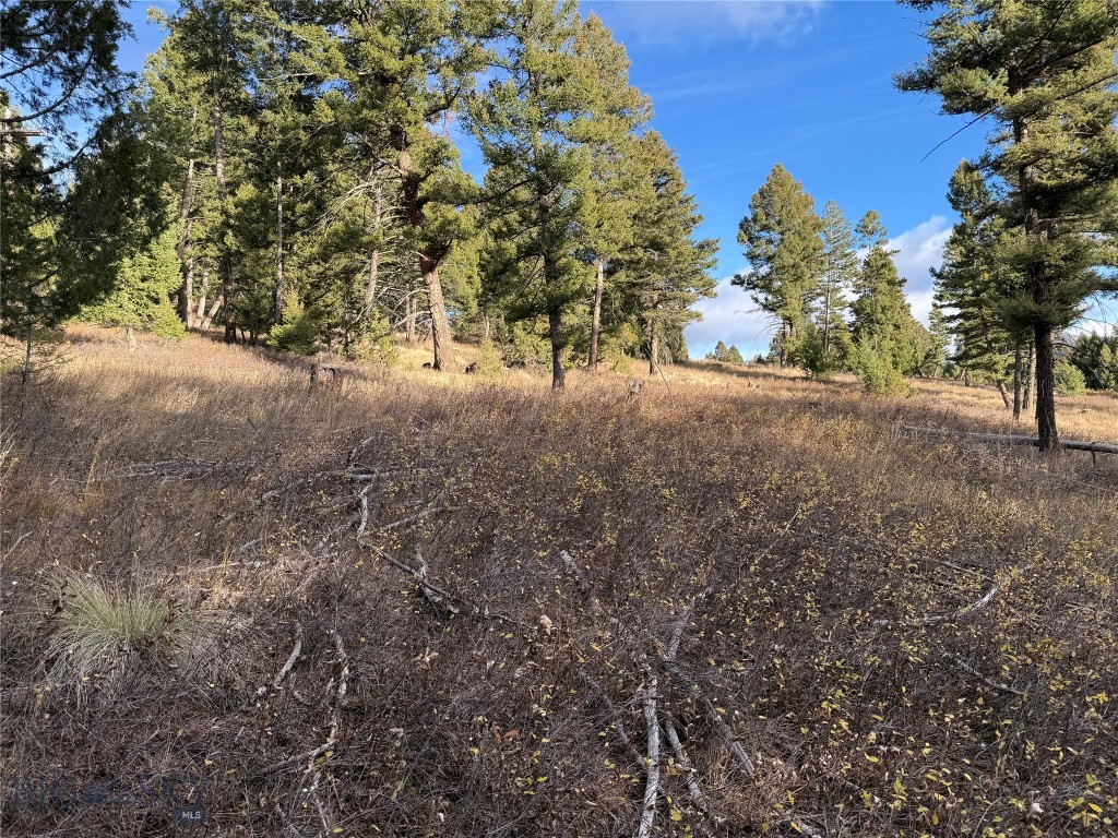 Lot 5 Scranton Lode Property Photo 18