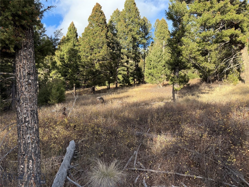 Lot 5 Scranton Lode Property Photo 20