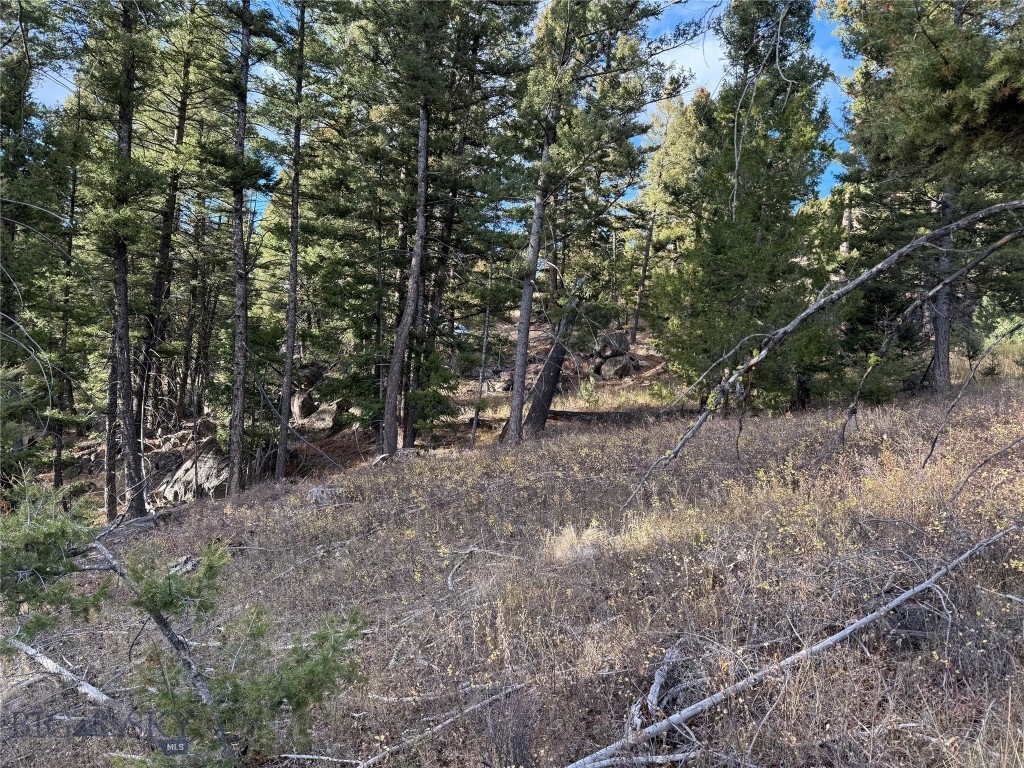 Lot 5 Scranton Lode Property Photo 21