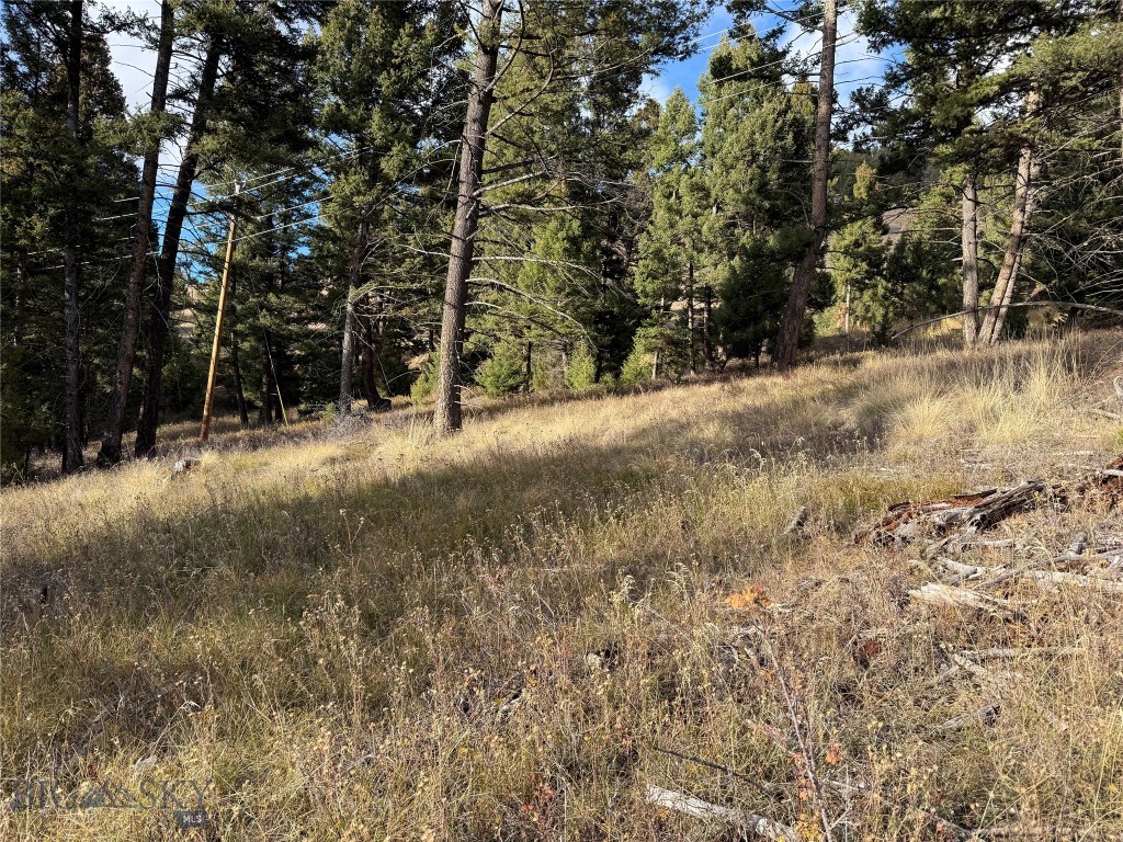 Lot 5 Scranton Lode Property Photo 23