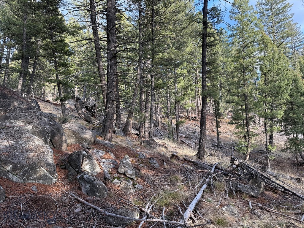 Lot 5 Scranton Lode Property Photo 25