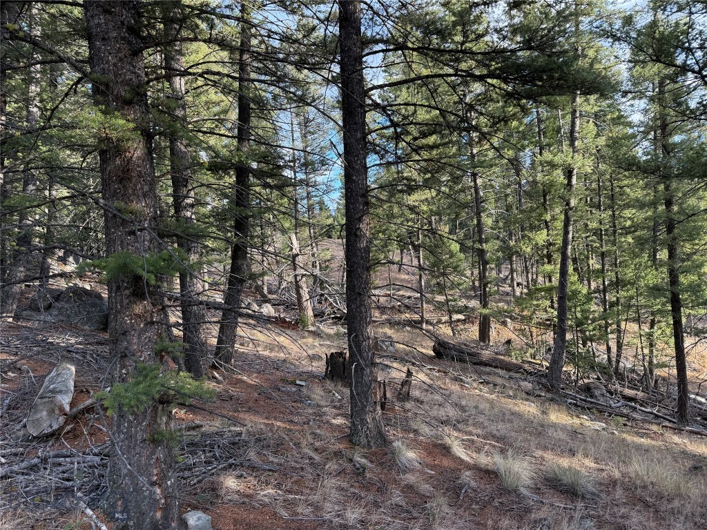 Lot 5 Scranton Lode Property Photo 26