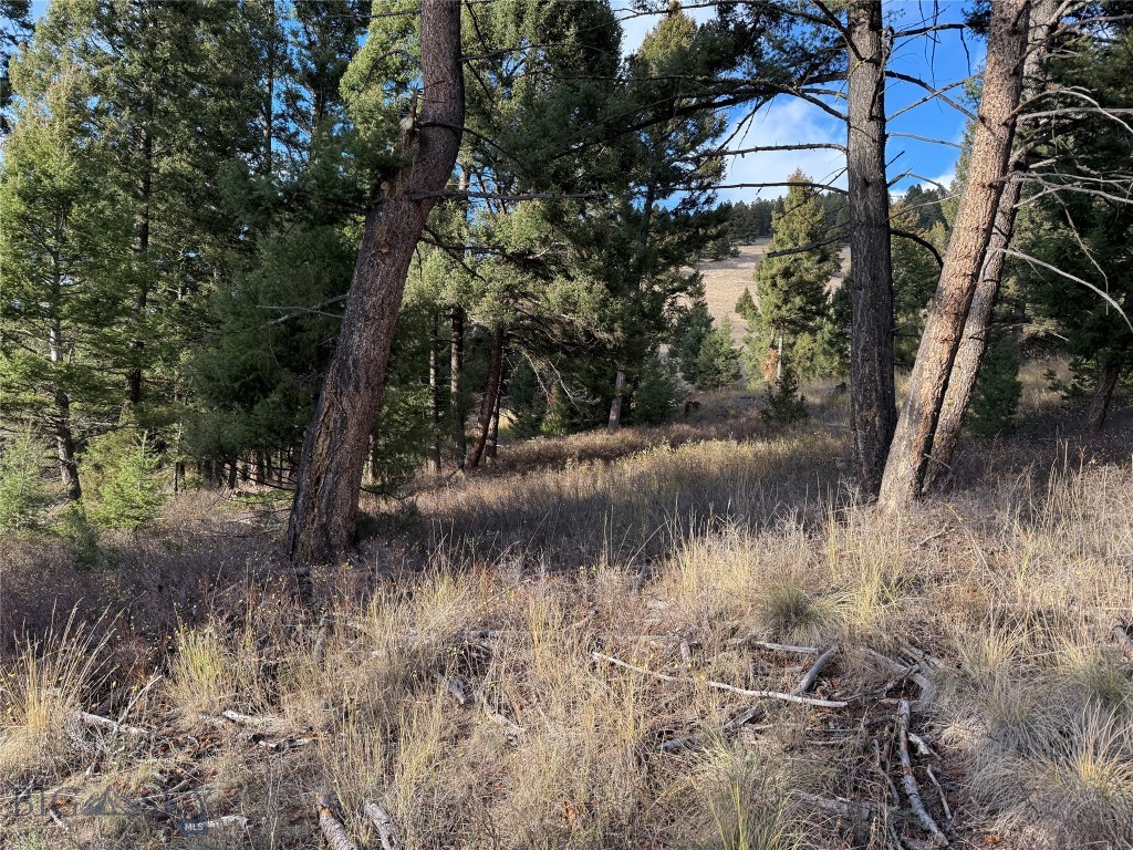 Lot 5 Scranton Lode Property Photo 28