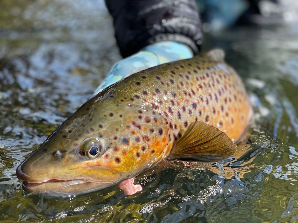 Lot 15 A Tbd Riverway Road Property Photo 3