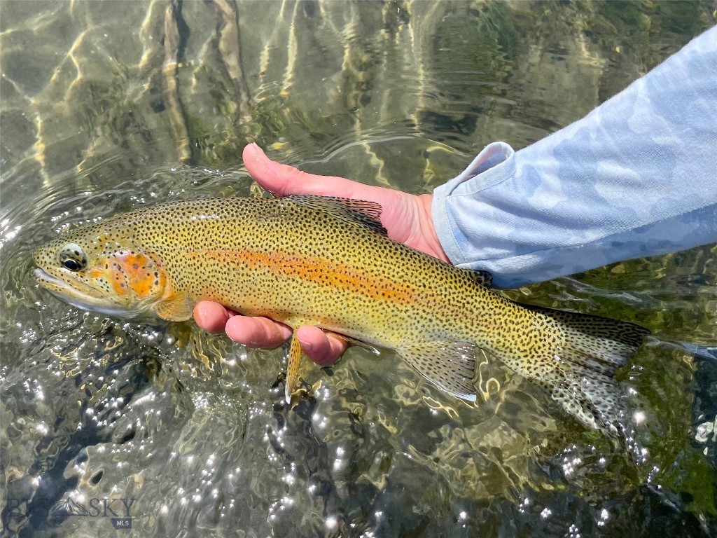 Lot 15 A Tbd Riverway Road Property Photo 6