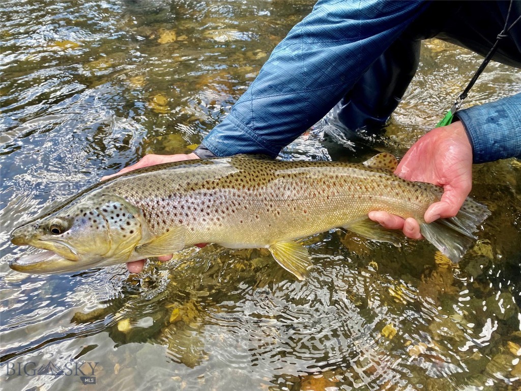 Lot 15 A Tbd Riverway Road Property Photo 14