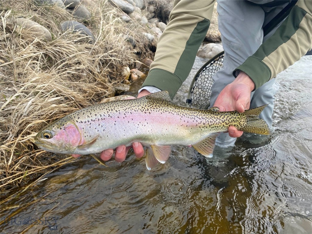 Lot 15 A Tbd Riverway Road Property Photo 16