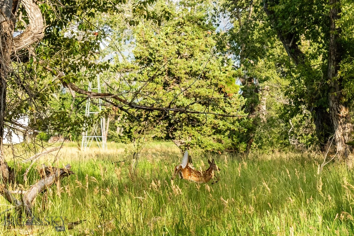 Lot 15 A Tbd Riverway Road Property Photo 18