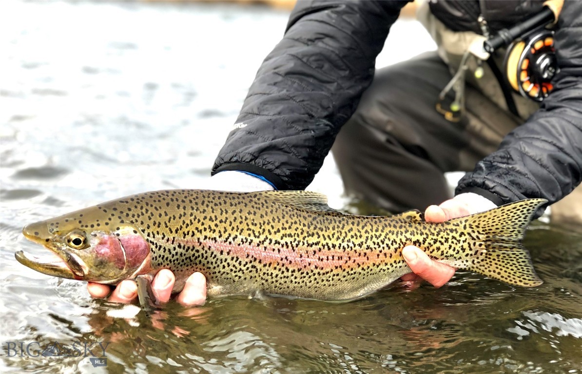 Lot 15 A Tbd Riverway Road Property Photo 20