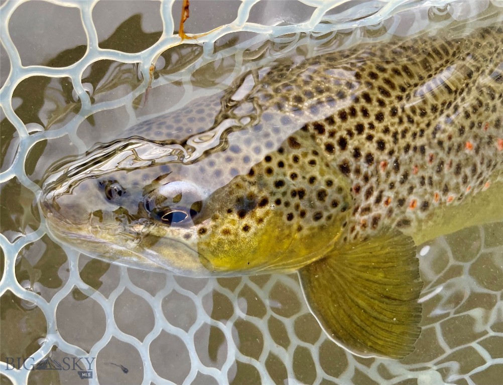 Lot 15 A Tbd Riverway Road Property Photo 22