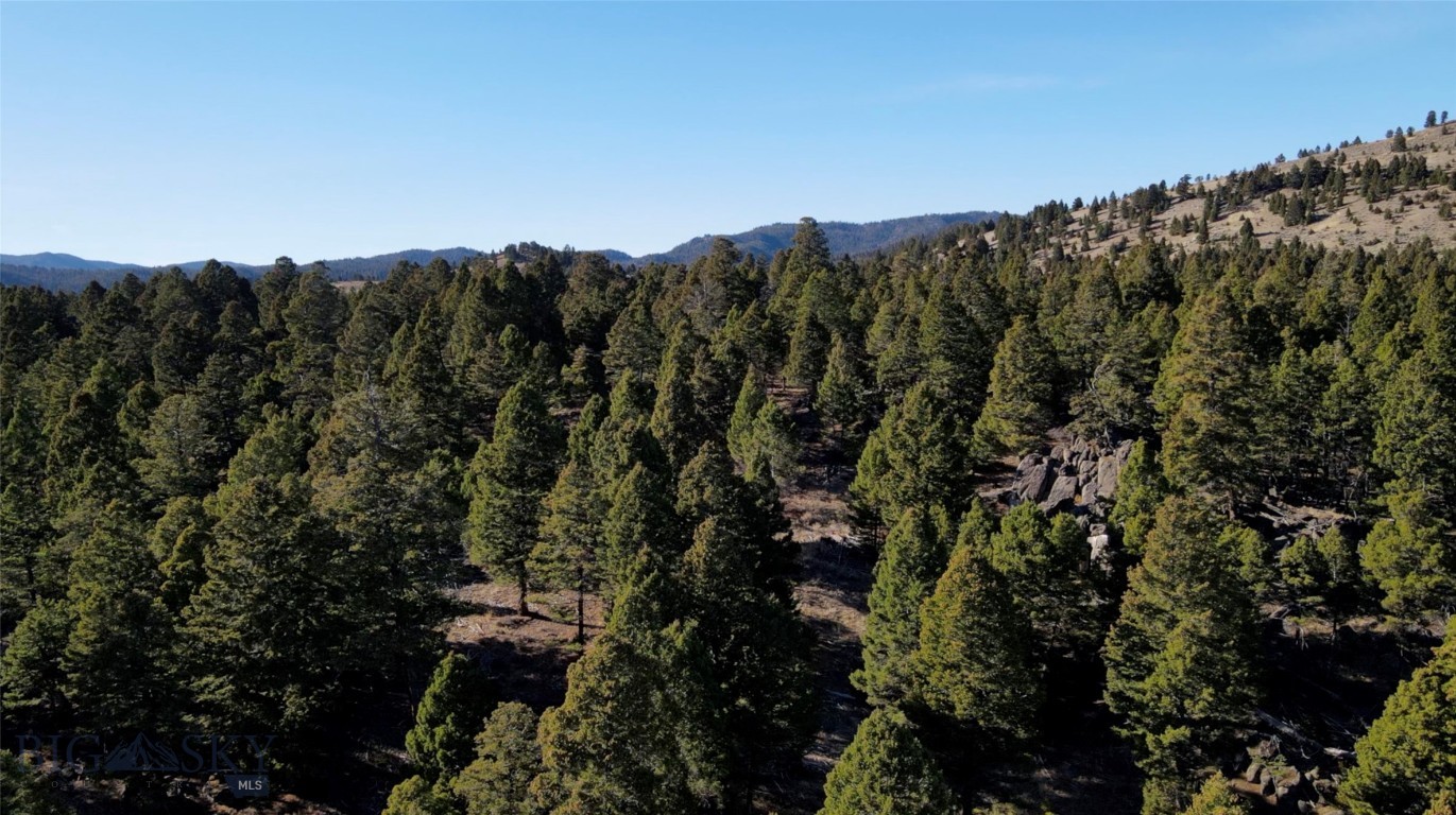 91 Upper Rader Creek Road Property Photo 5