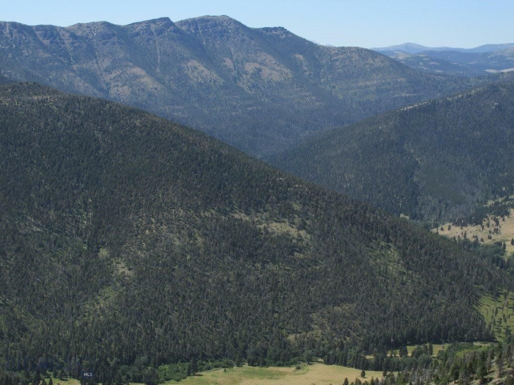 Tbd Bear Track Road Property Photo 1
