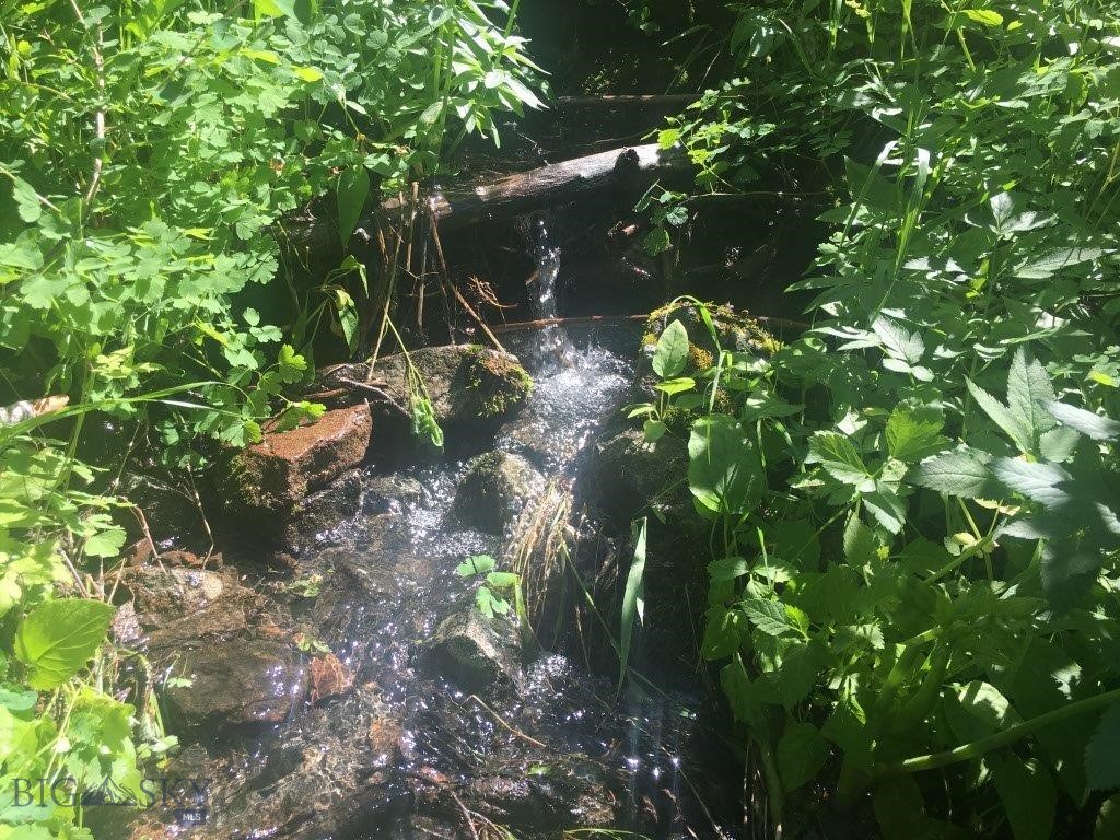 Tbd Bear Track Road Property Photo 2