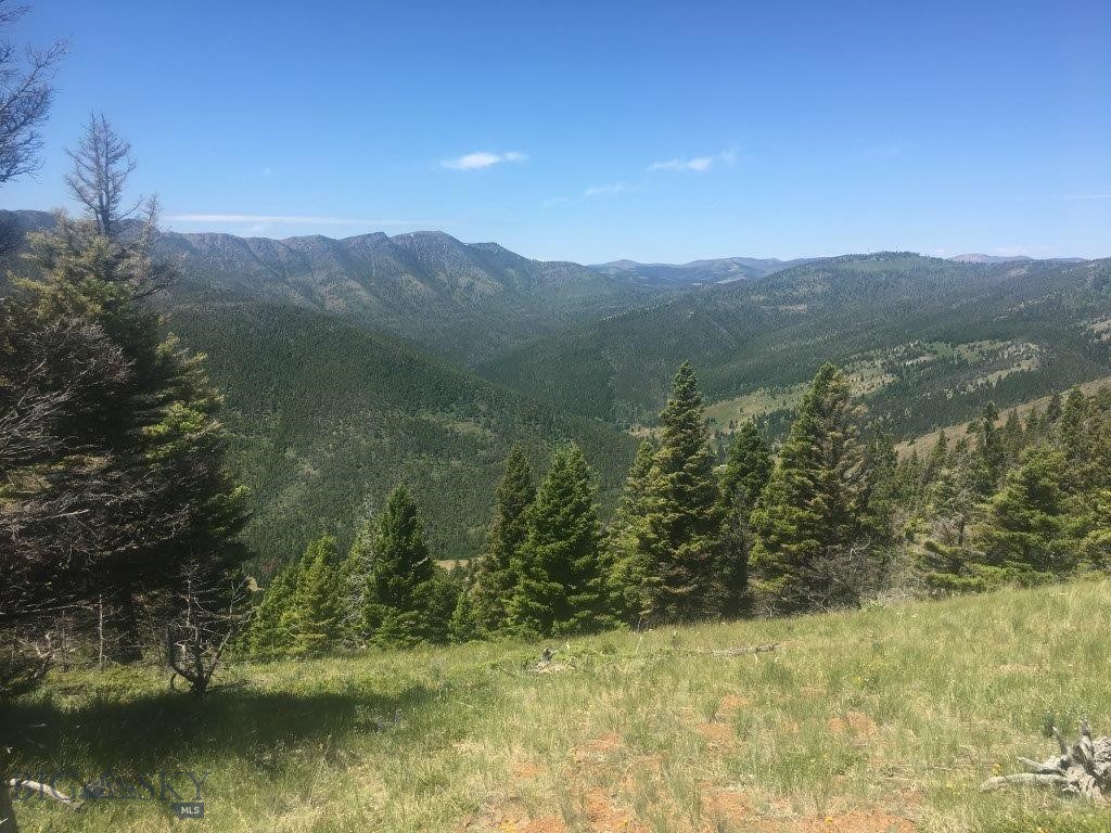 Tbd Bear Track Road Property Photo 3
