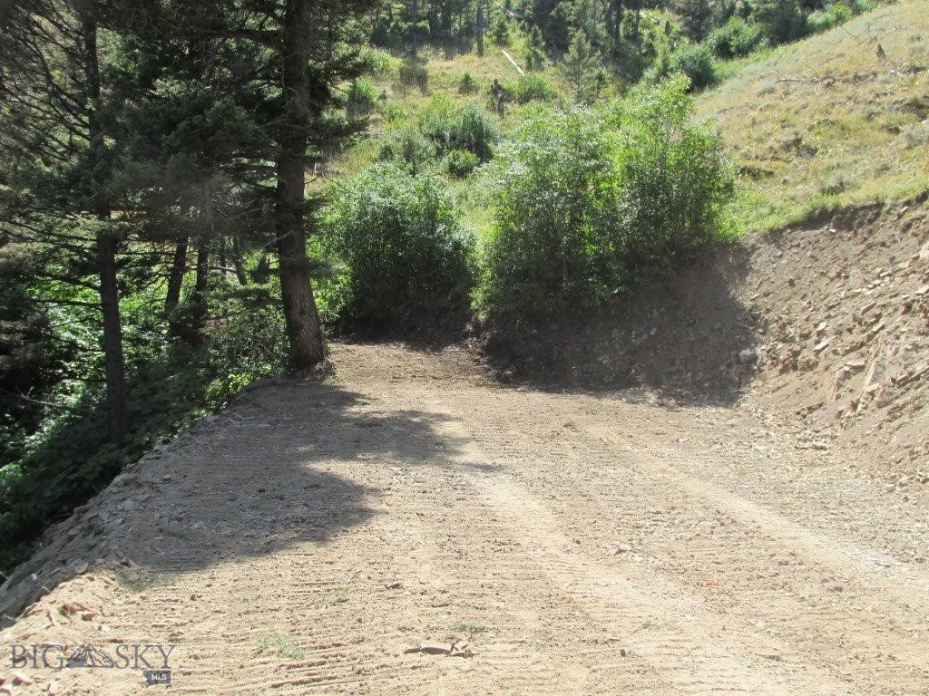 Tbd Bear Track Road Property Photo 4