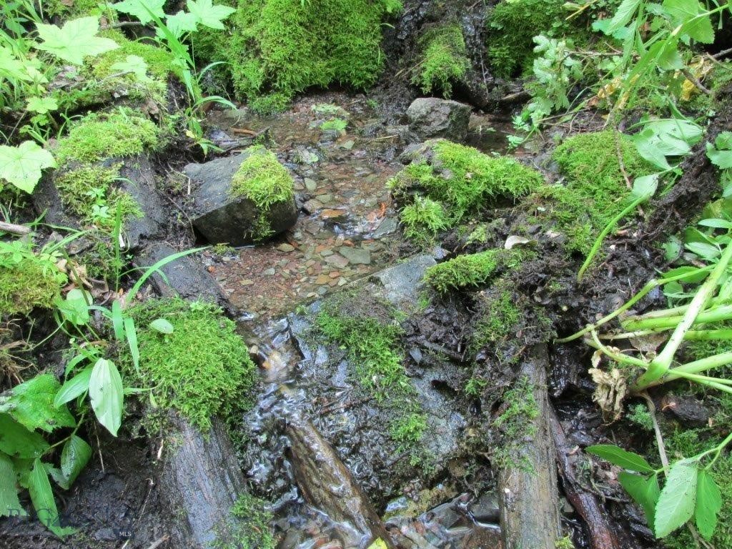 Tbd Bear Track Road Property Photo 5