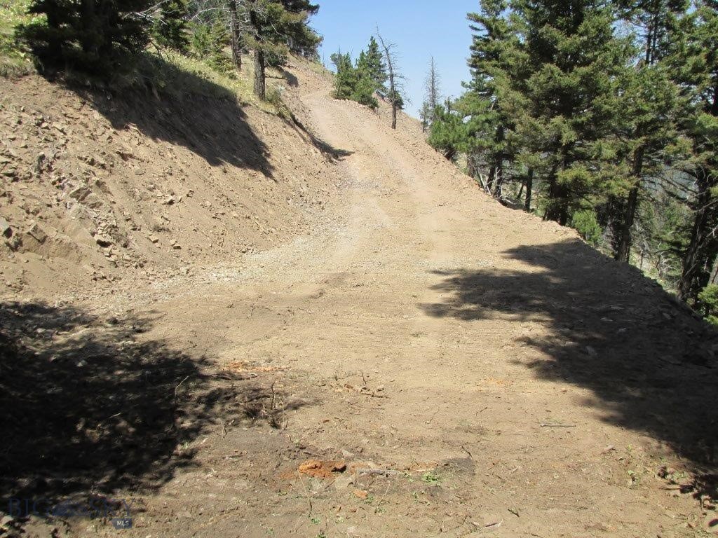 Tbd Bear Track Road Property Photo 6