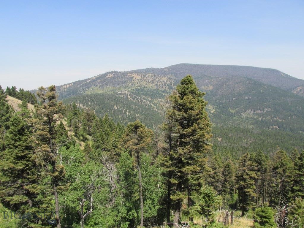 Tbd Bear Track Road Property Photo 7