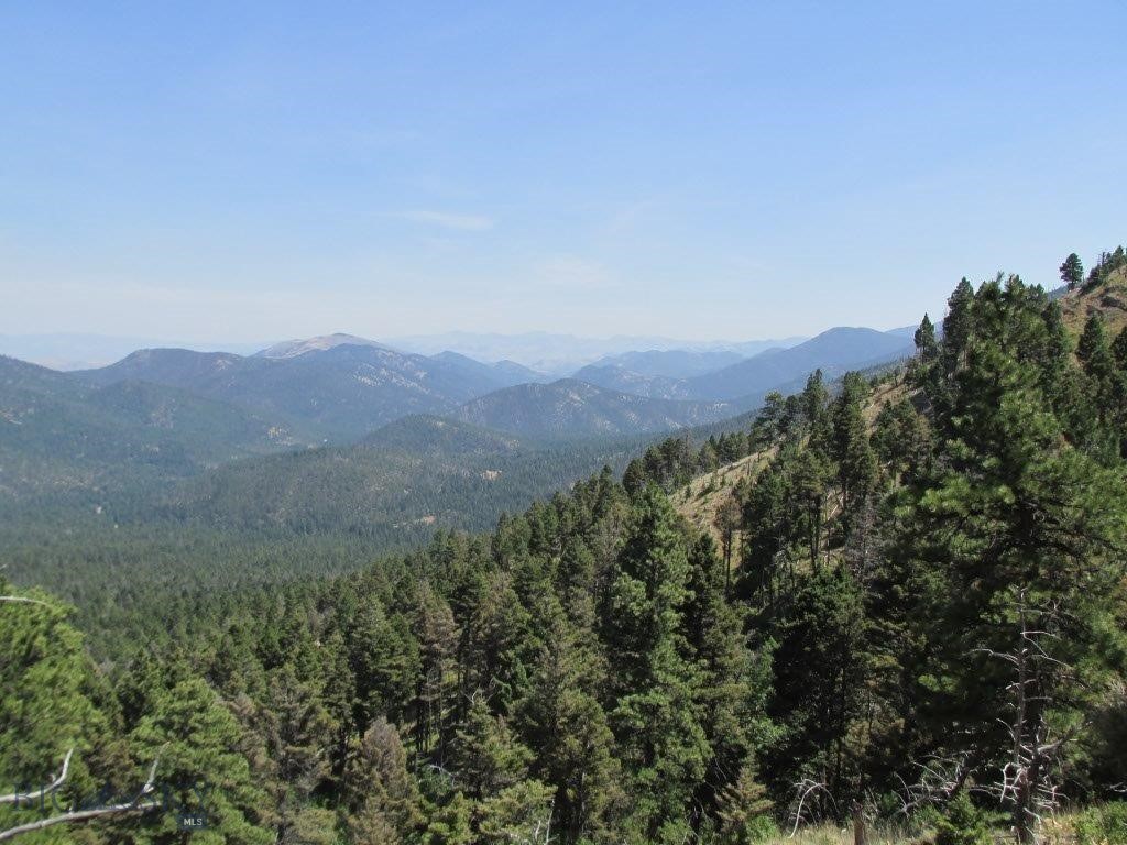Tbd Bear Track Road Property Photo 8