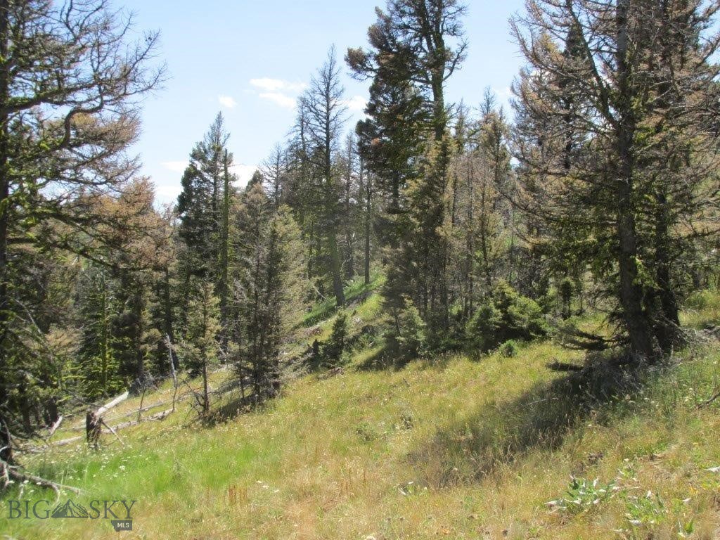 Tbd Bear Track Road Property Photo 9