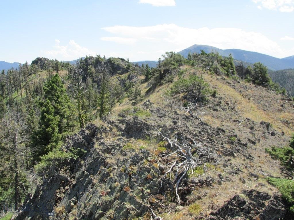 Tbd Bear Track Road Property Photo 10