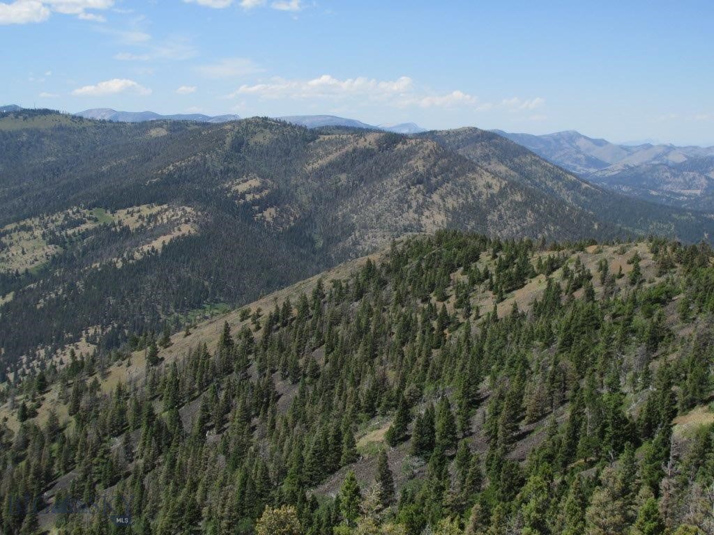 Tbd Bear Track Road Property Photo 11