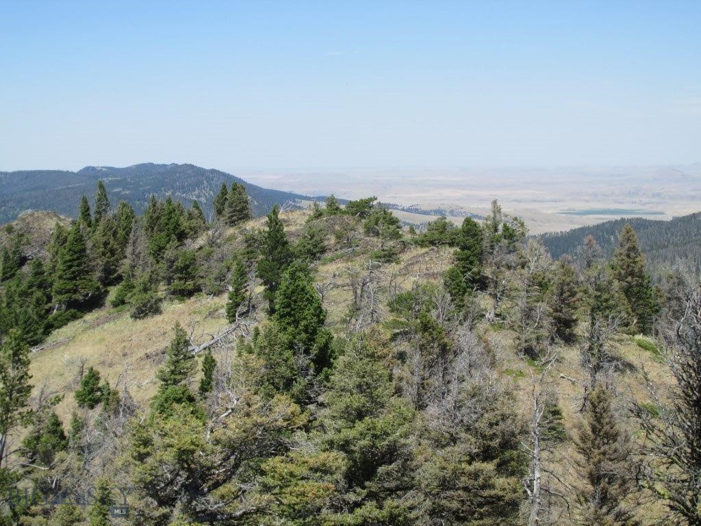Tbd Bear Track Road Property Photo 12