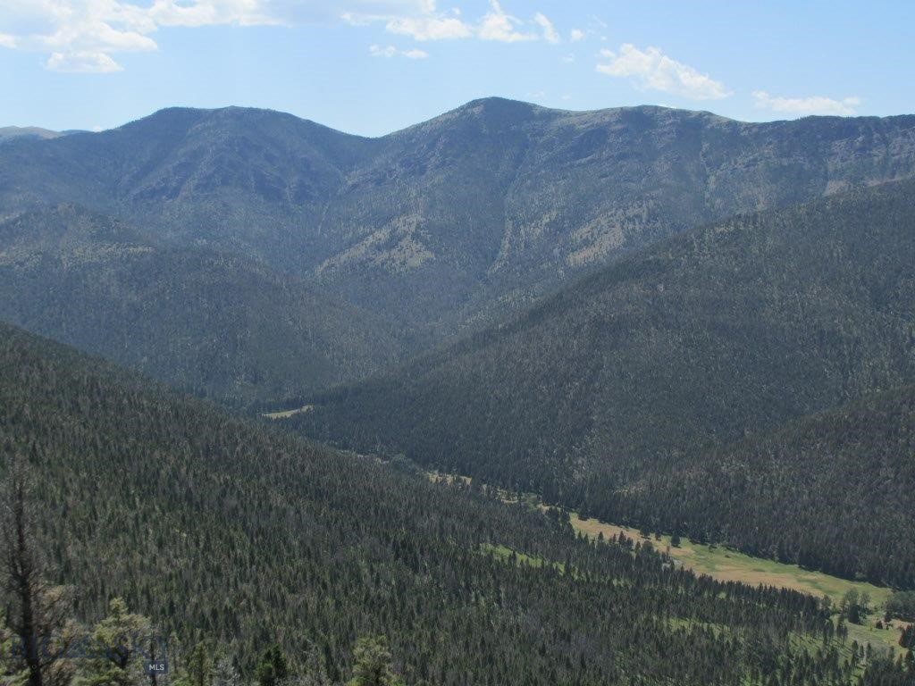 Tbd Bear Track Road Property Photo 13