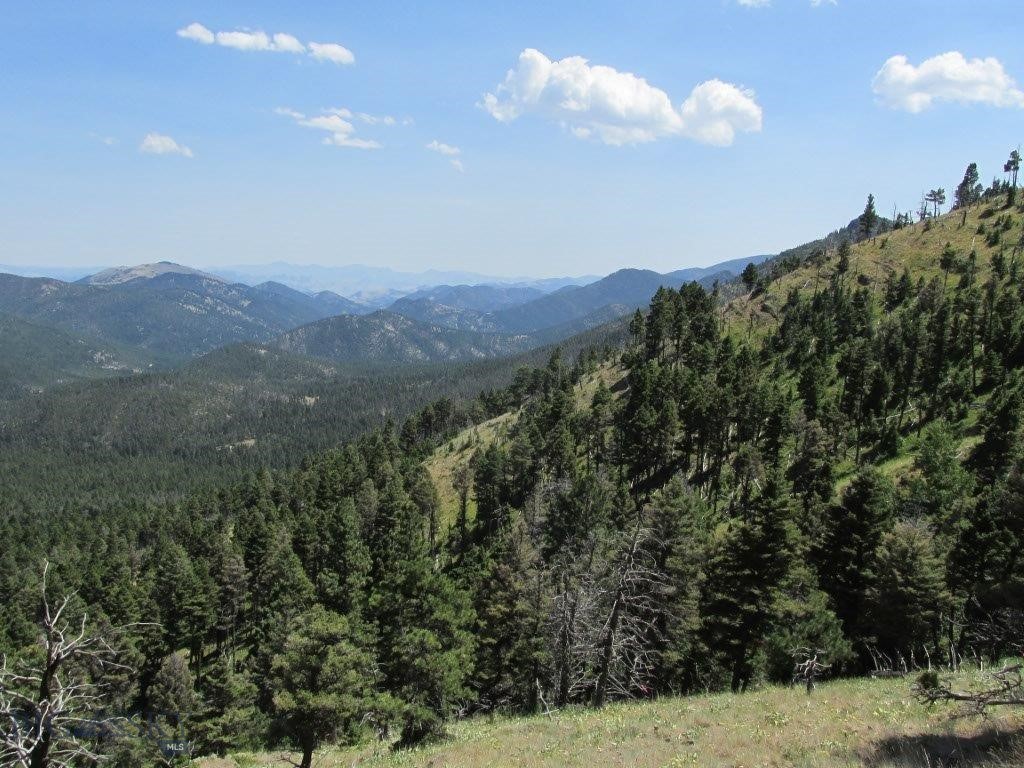 Tbd Bear Track Road Property Photo 14