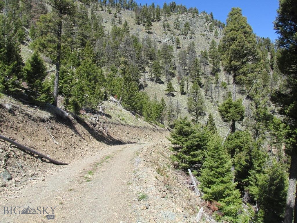 Tbd Bear Track Road Property Photo 17