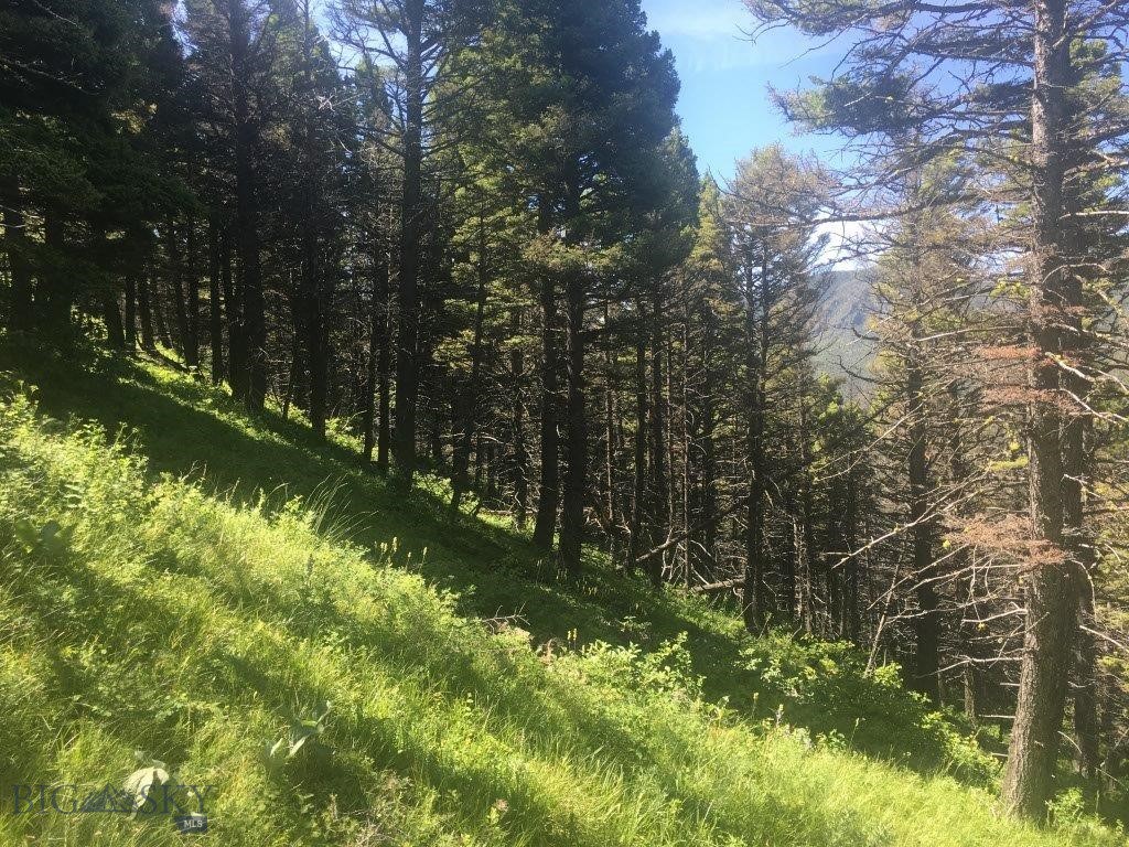 Tbd Bear Track Road Property Photo 19