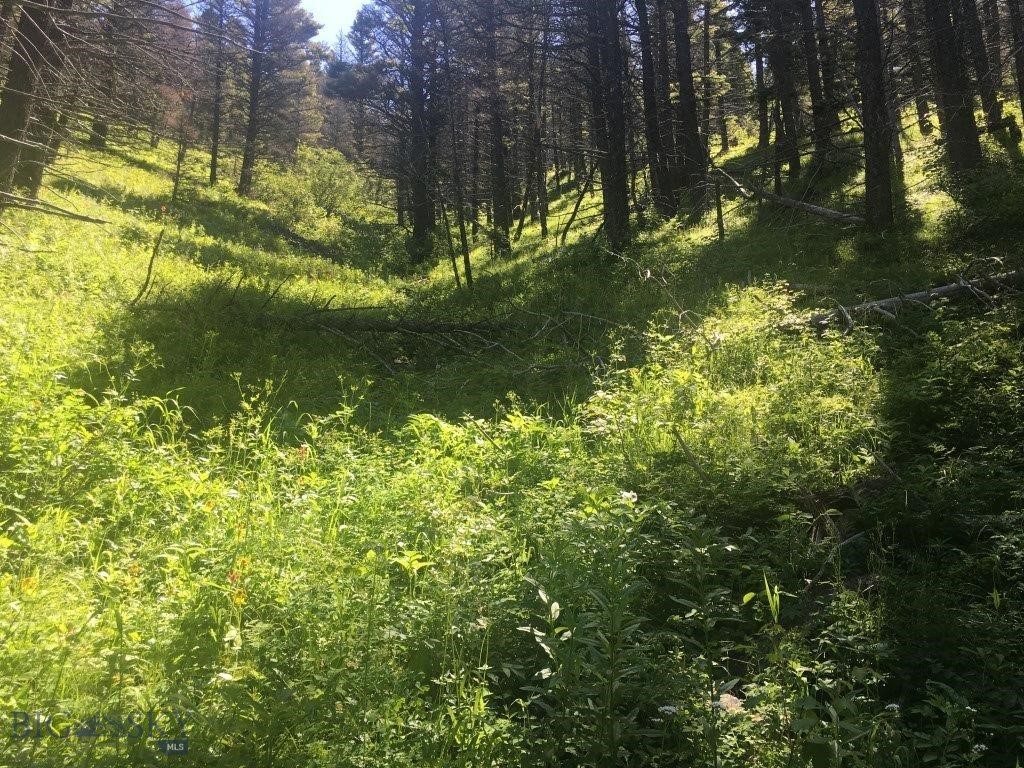 Tbd Bear Track Road Property Photo 20