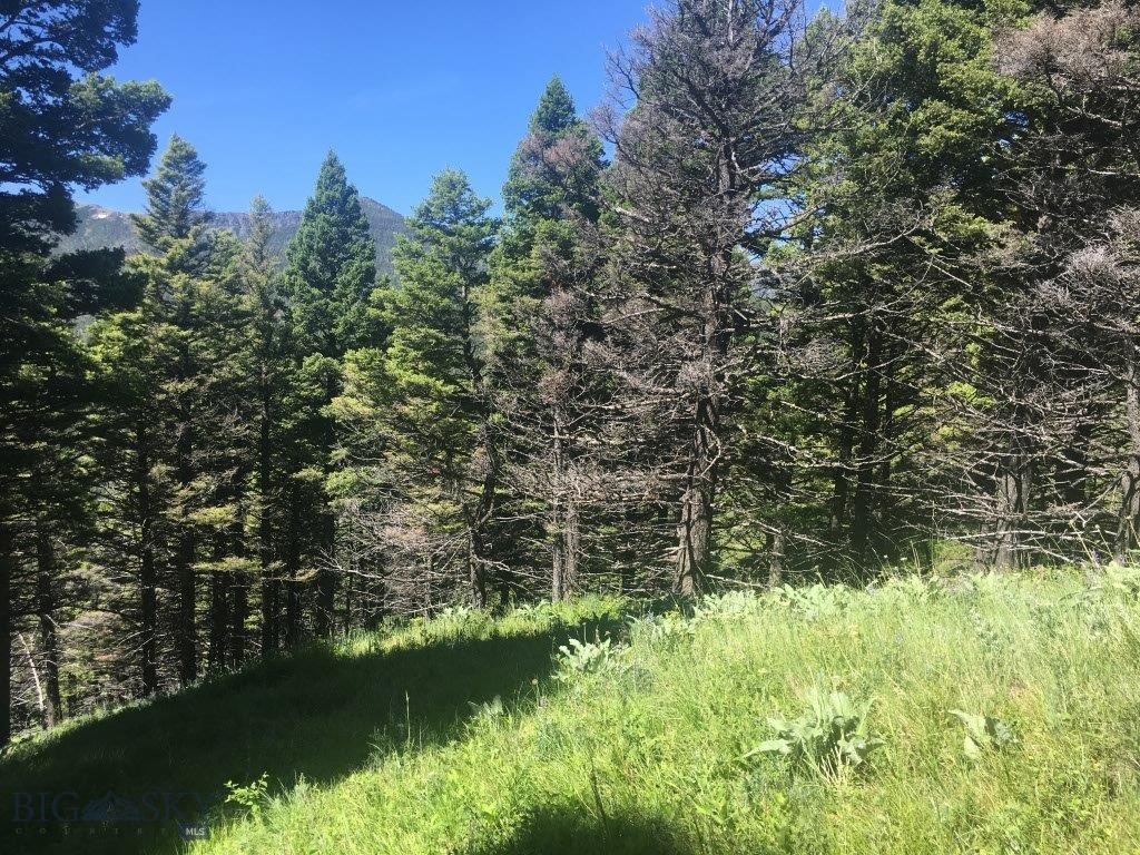 Tbd Bear Track Road Property Photo 21
