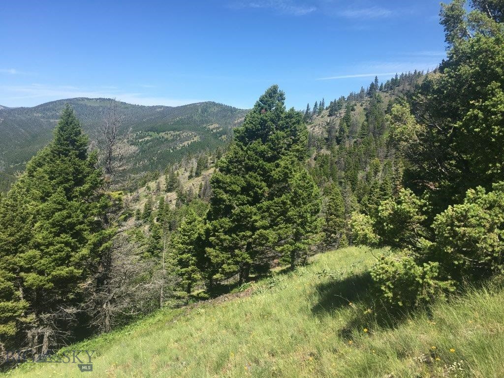 Tbd Bear Track Road Property Photo 22