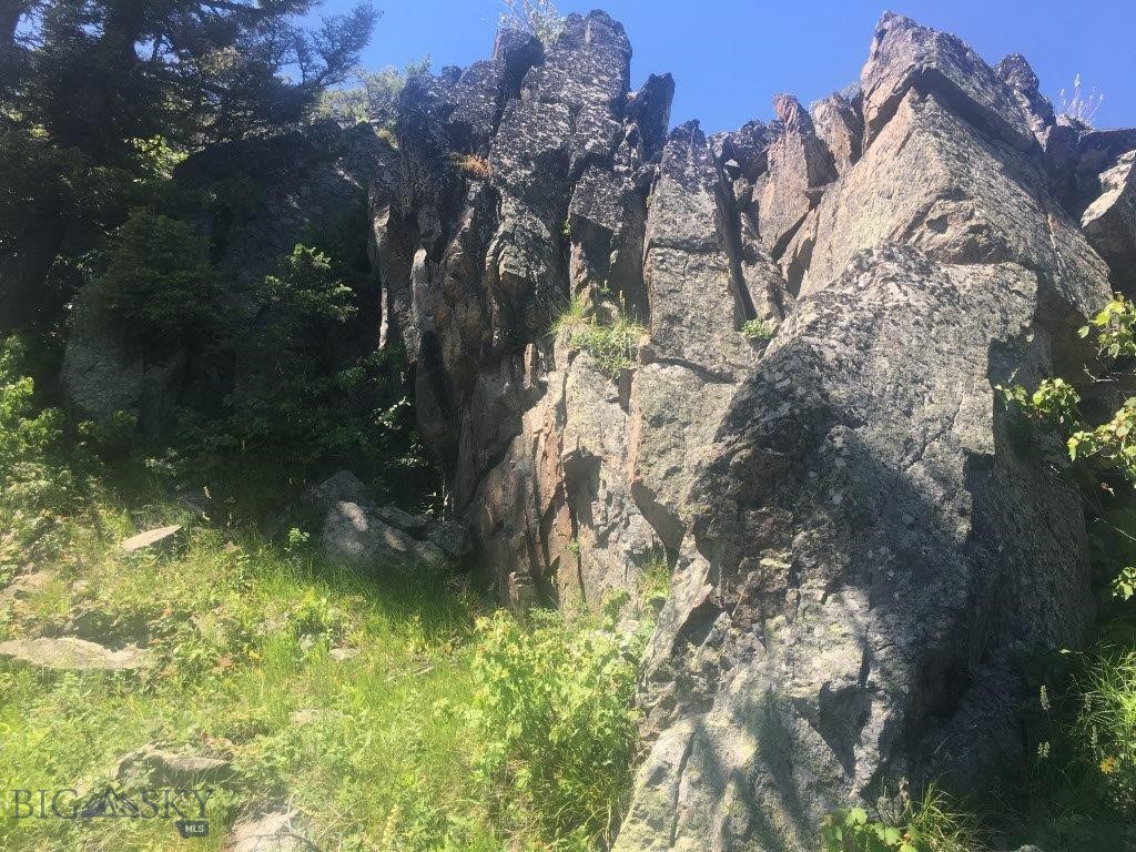 Tbd Bear Track Road Property Photo 23