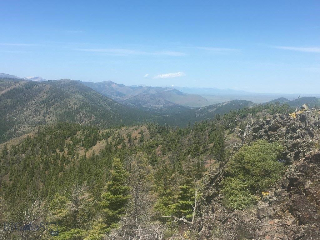 Tbd Bear Track Road Property Photo 24