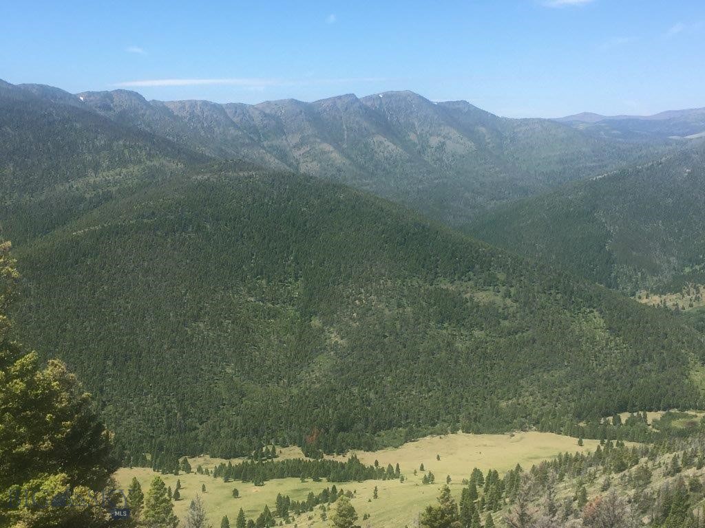 Tbd Bear Track Road Property Photo 25