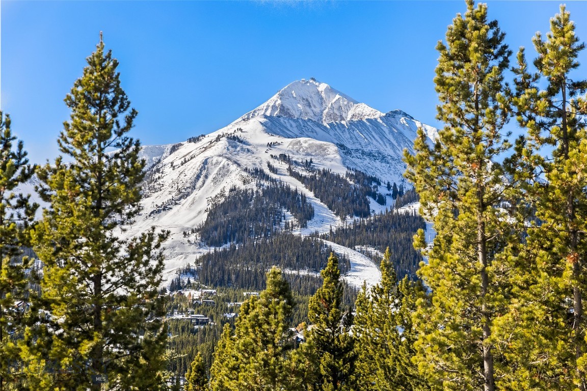 17 Swift Bear Property Photo 17