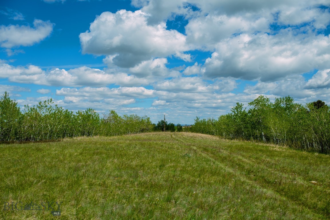 Nhn Highway 78 Property Photo 10