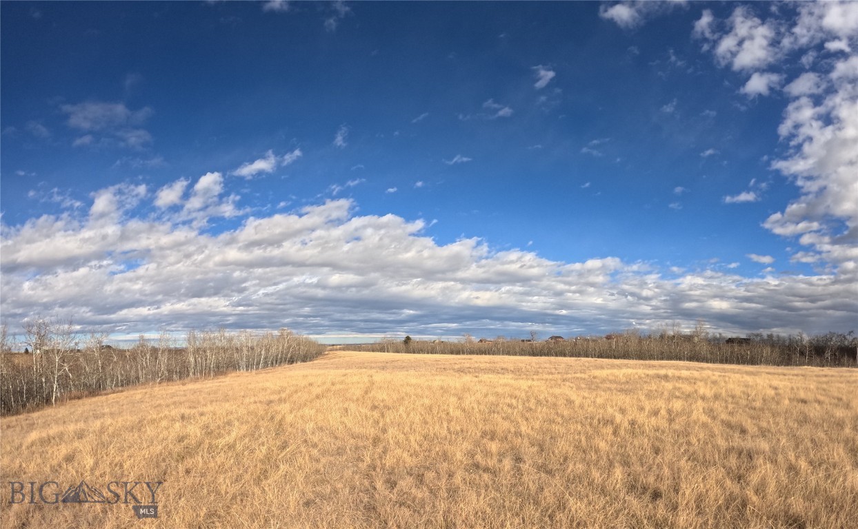 Nhn Highway 78 Property Photo 11