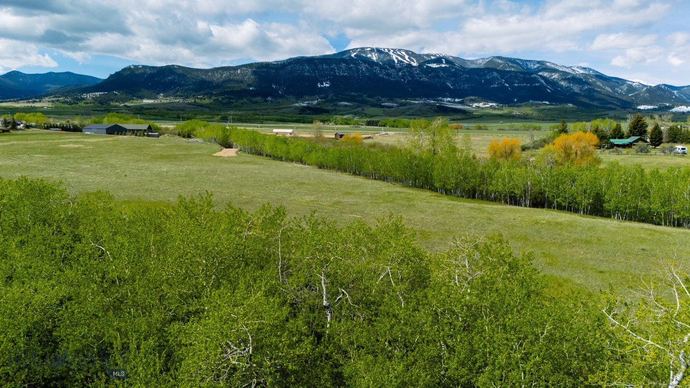 Nhn Highway 78 Property Photo 13