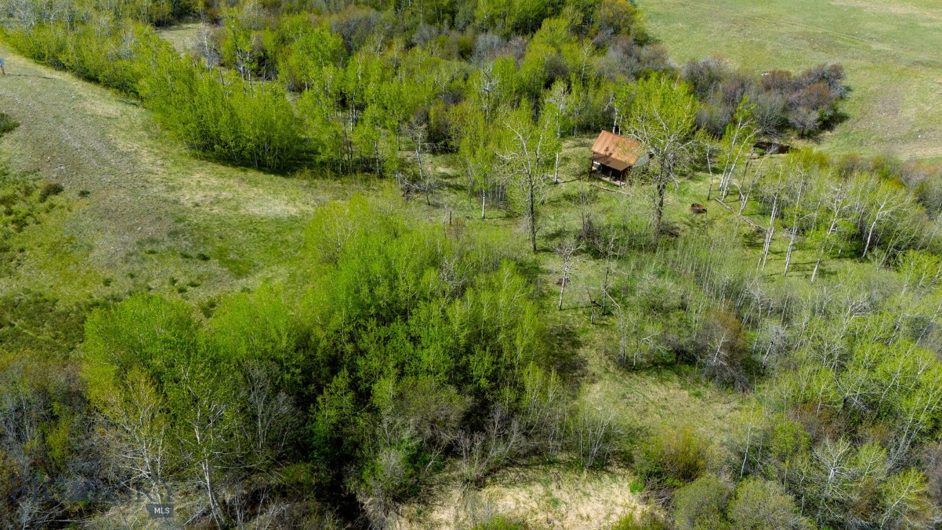 Nhn Highway 78 Property Photo 20