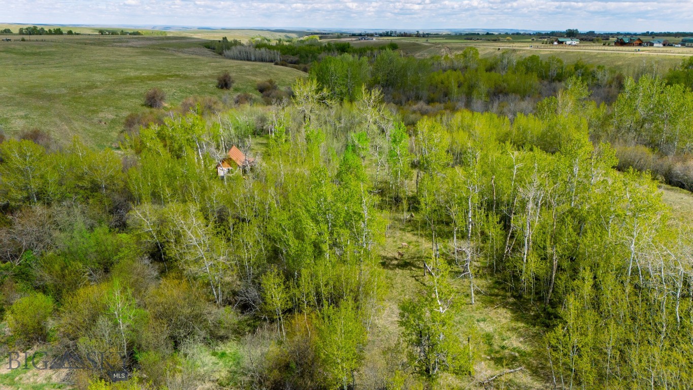 Nhn Highway 78 Property Photo 25