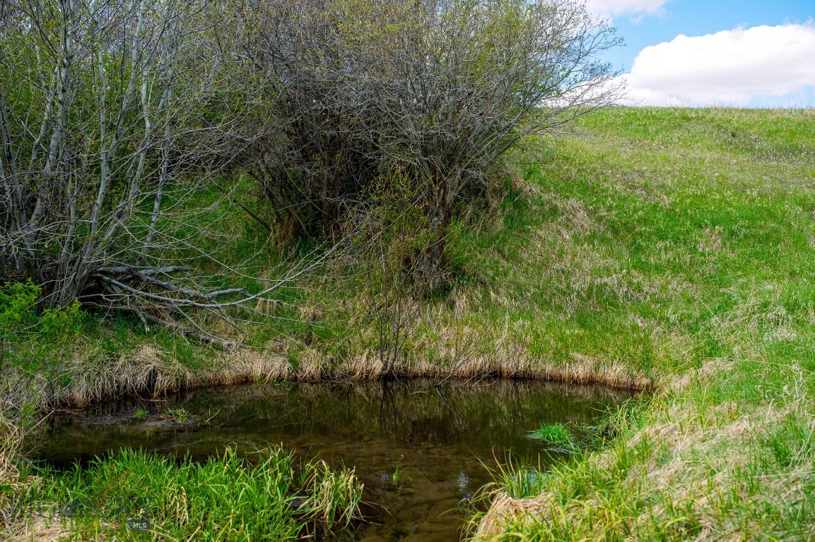 Nhn Highway 78 Property Photo 30