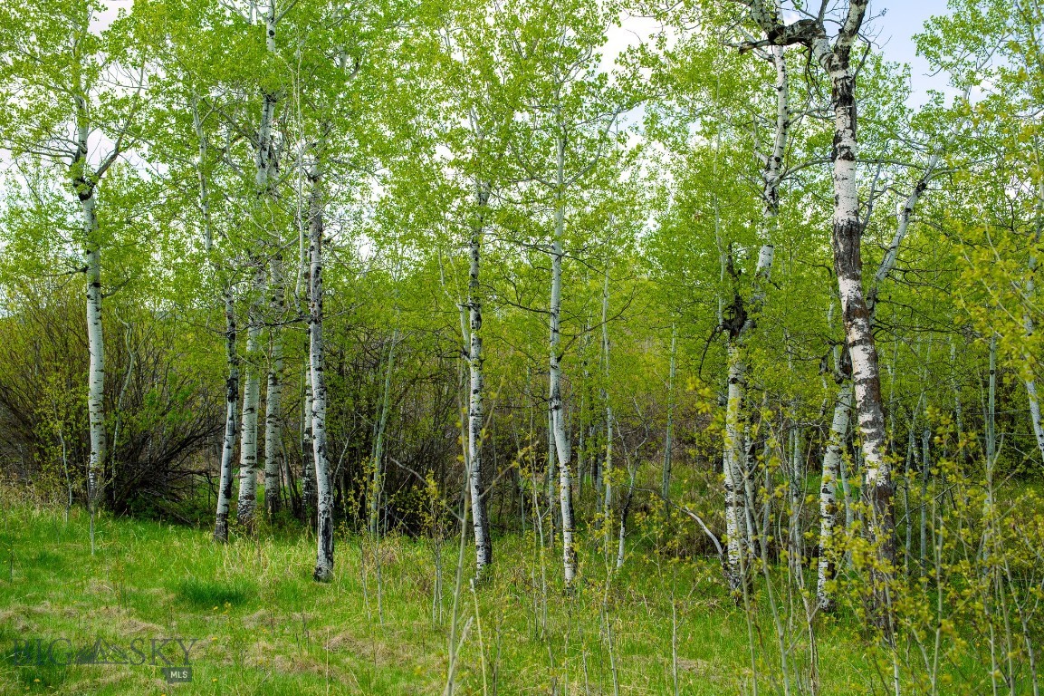 Nhn Highway 78 Property Photo 31