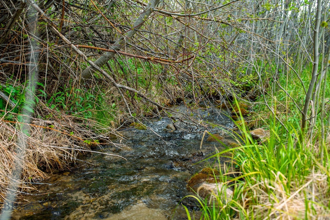 Nhn Highway 78 Property Photo 33