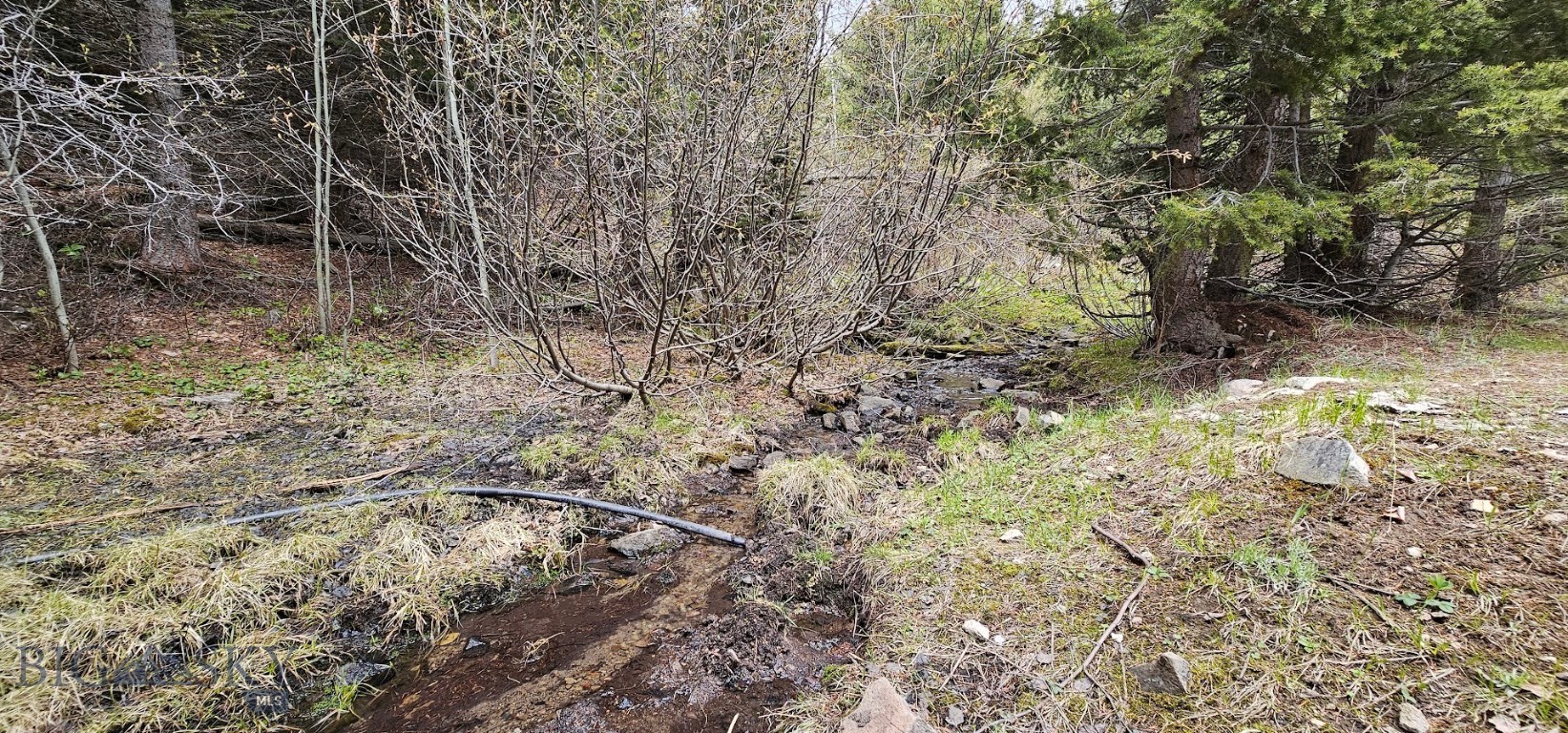 13 Tract, Garnet Range Property Photo 1