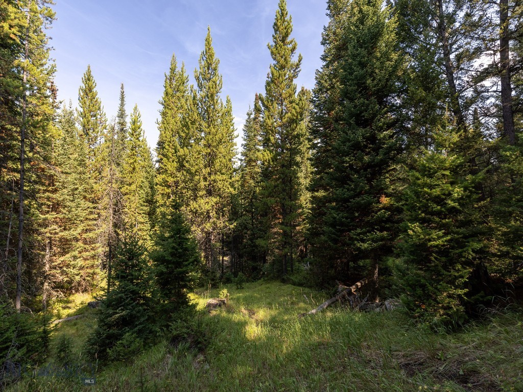 Tbd Sweetroot Fork Property Photo 9