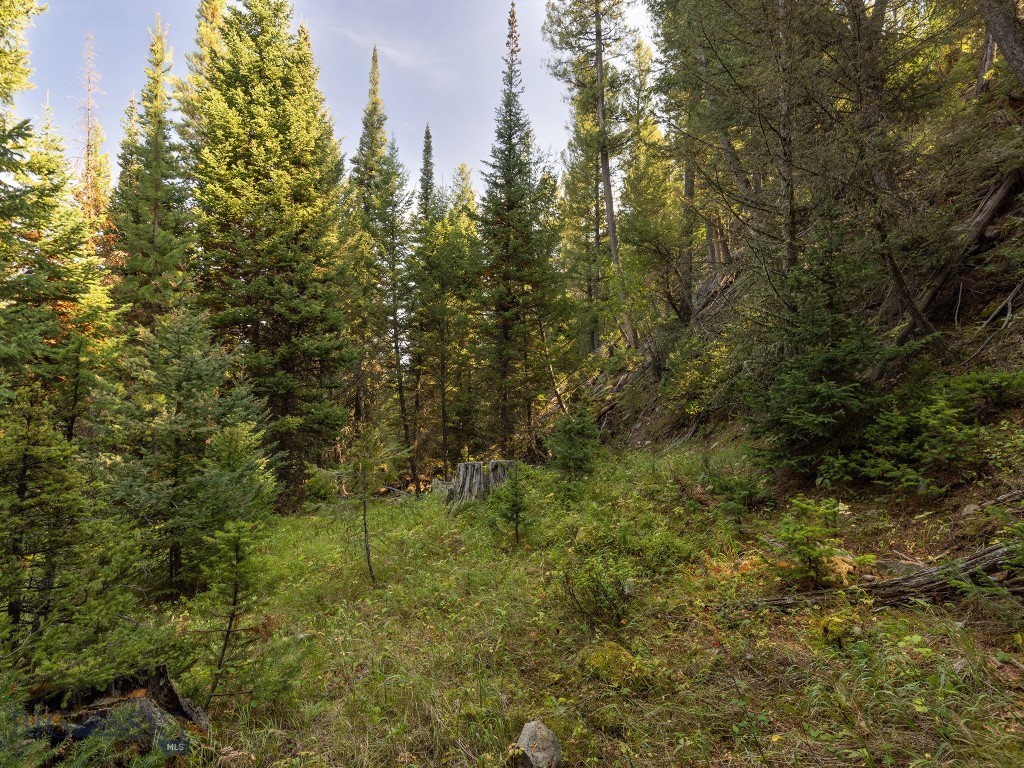 Tbd Sweetroot Fork Property Photo 10